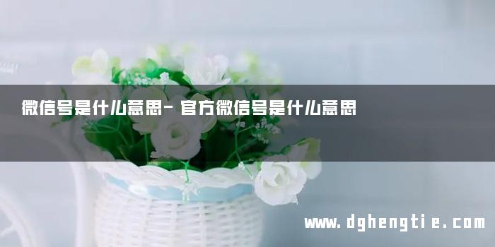 微信号是什么意思-官方微信号是什么意思