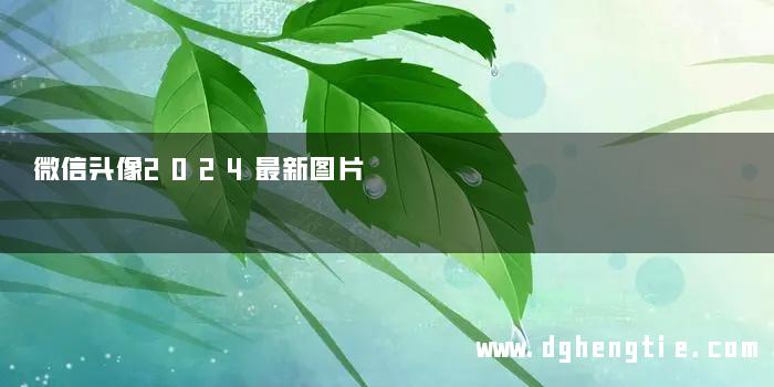 微信头像2024最新图片