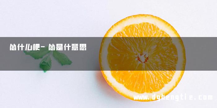 怂什么梗-怂是什意思