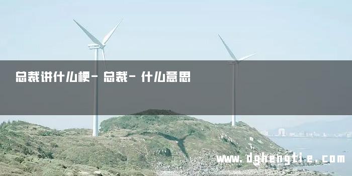 总裁讲什么梗-总裁-什么意思