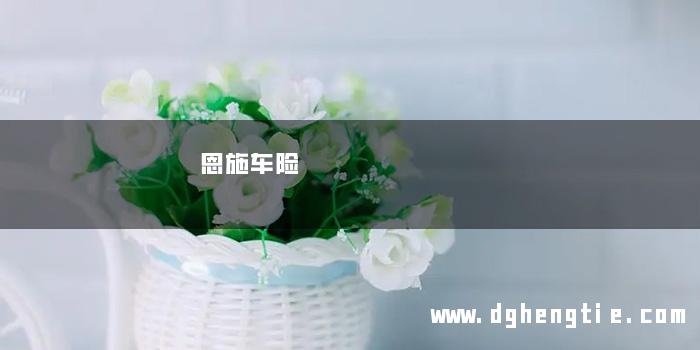 恩施车险