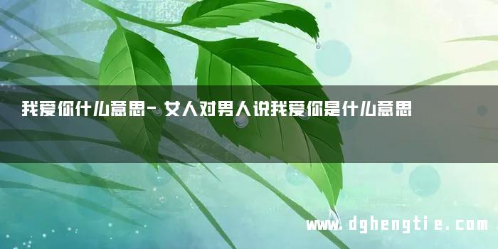 我爱你什么意思-女人对男人说我爱你是什么意思