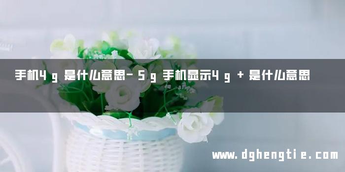 手机4g是什么意思-5g手机显示4g+是什么意思