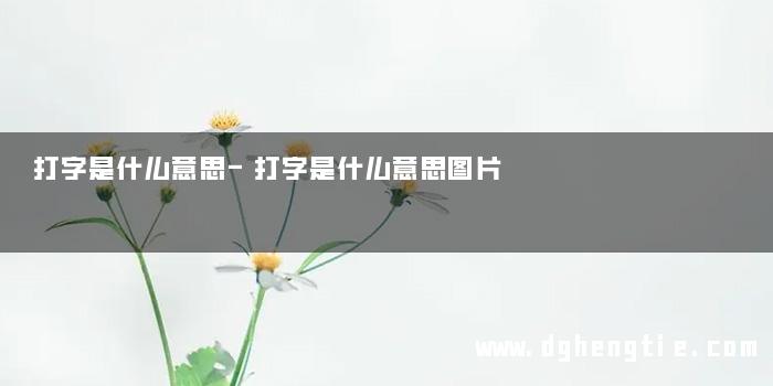 打字是什么意思-打字是什么意思图片