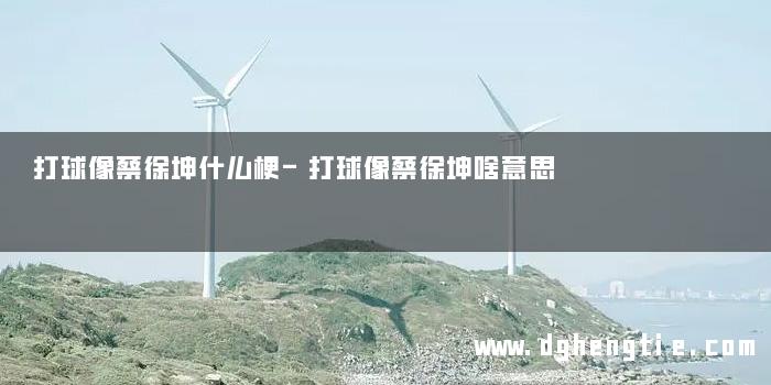 打球像蔡徐坤什么梗-打球像蔡徐坤啥意思