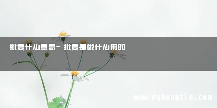 批复什么意思-批复是做什么用的