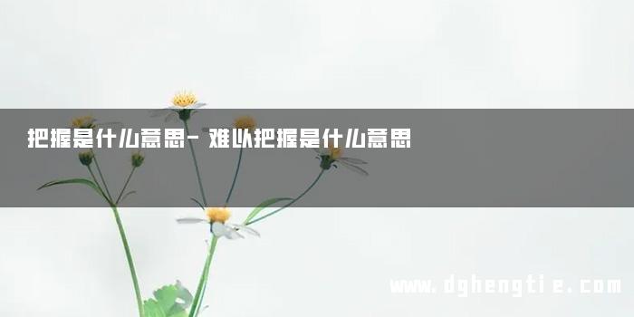 把握是什么意思-难以把握是什么意思