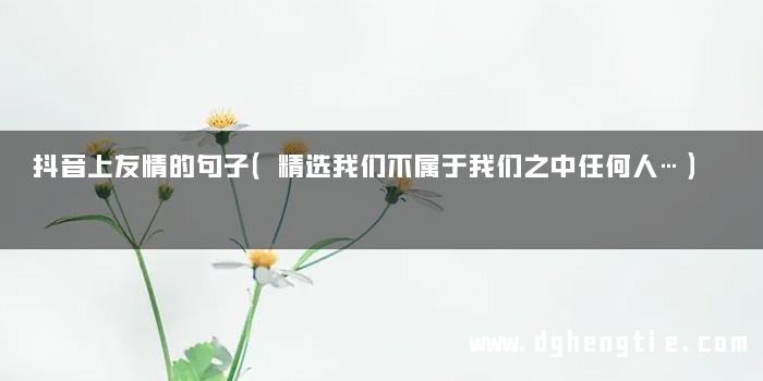 抖音上友情的句子（精选我们不属于我们之中任何人…）