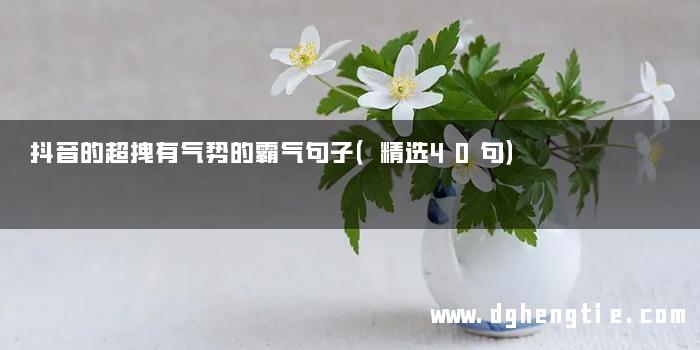 抖音的超拽有气势的霸气句子（精选40句）