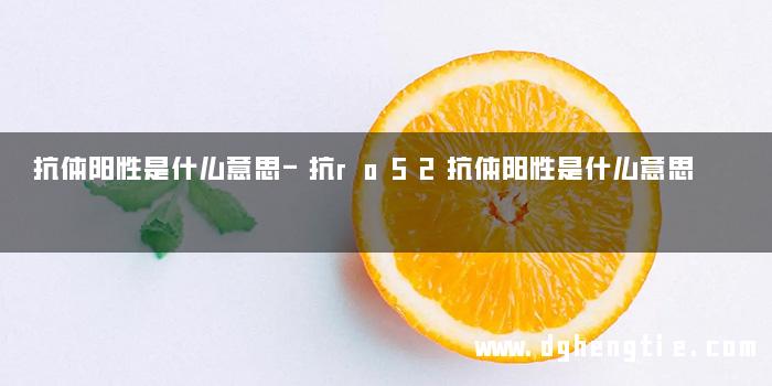抗体阳性是什么意思-抗ro52抗体阳性是什么意思