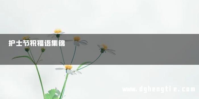 护士节祝福语集锦