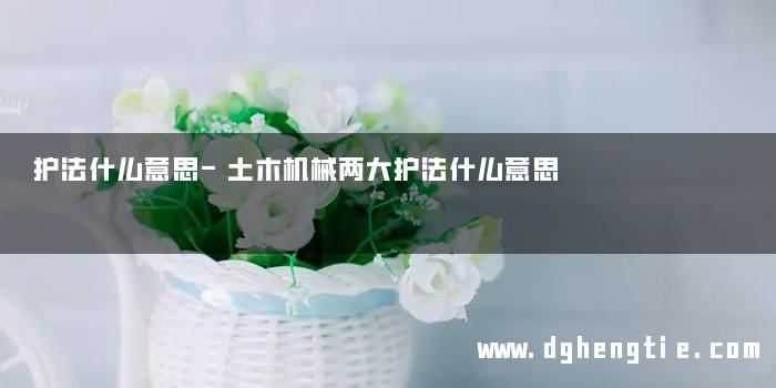 护法什么意思-土木机械两大护法什么意思