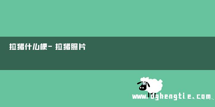 拉猪什么梗-拉猪照片