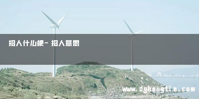 招人什么梗-招人意思