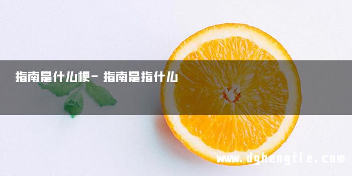 指南是什么梗-指南是指什么