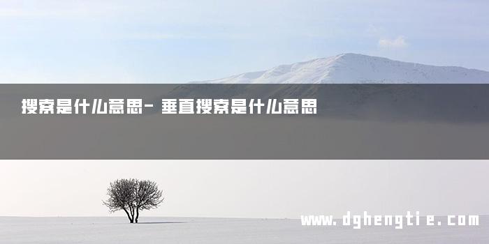 搜索是什么意思-垂直搜索是什么意思