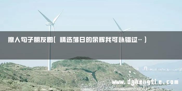 撩人句子朋友圈（精选落日的余辉我可以错过…）