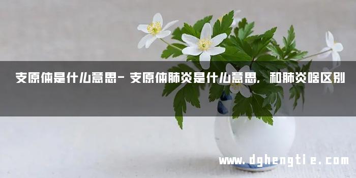 支原体是什么意思-支原体肺炎是什么意思,和肺炎啥区别