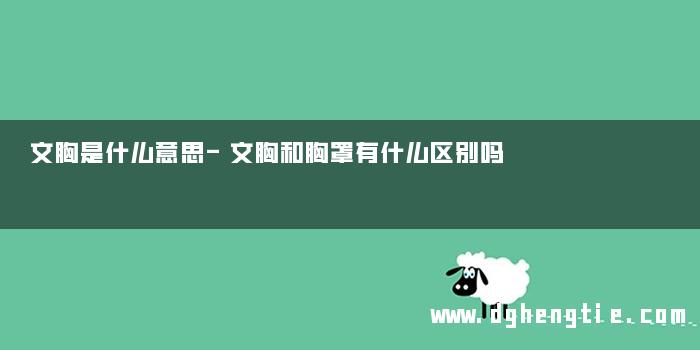 文胸是什么意思-文胸和胸罩有什么区别吗