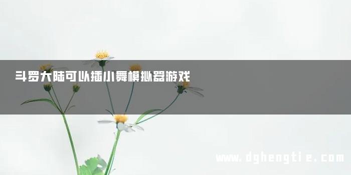 斗罗大陆可以插小舞模拟器游戏