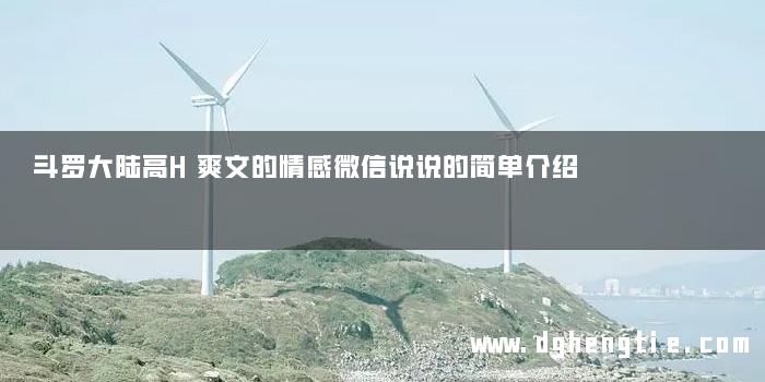 斗罗大陆高H爽文的情感微信说说的简单介绍