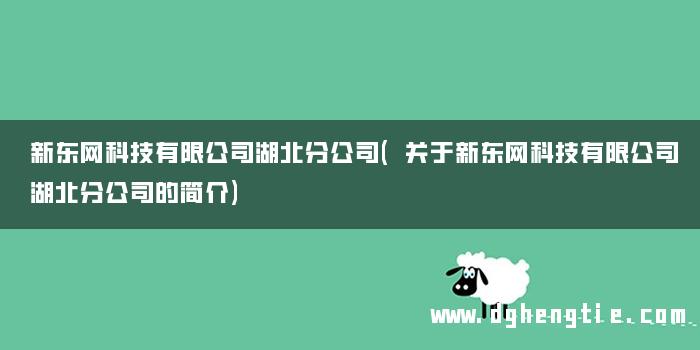 新东网科技有限公司湖北分公司(关于新东网科技有限公司湖北分公司的简介)