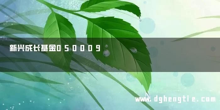 新兴成长基金050009