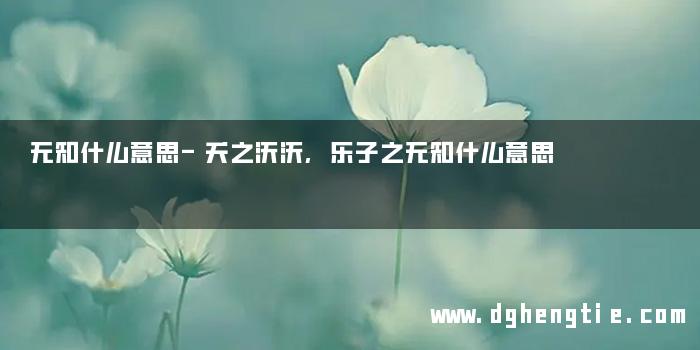无知什么意思-夭之沃沃,乐子之无知什么意思