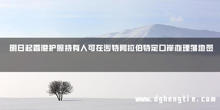 明日起香港护照持有人可在沙特阿拉伯特定口岸办理落地签