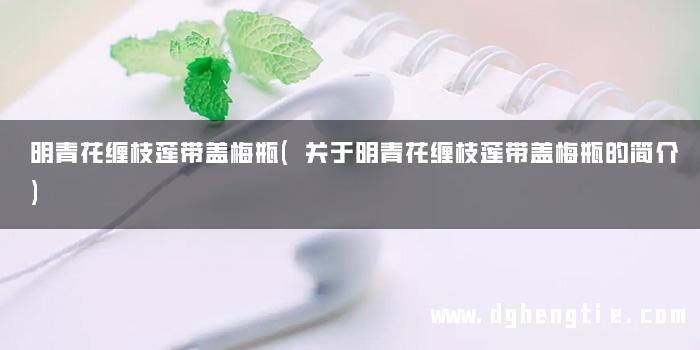 明青花缠枝莲带盖梅瓶(关于明青花缠枝莲带盖梅瓶的简介)