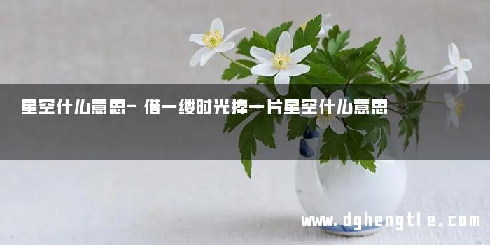 星空什么意思-借一缕时光捧一片星空什么意思