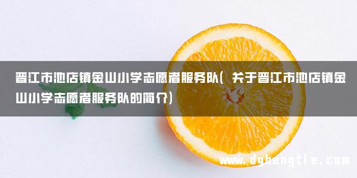 晋江市池店镇金山小学志愿者服务队(关于晋江市池店镇金山小学志愿者服务队的简介)