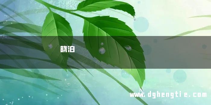 晓泊