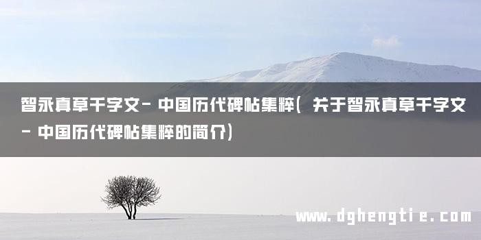 智永真草千字文-中国历代碑帖集粹(关于智永真草千字文-中国历代碑帖集粹的简介)