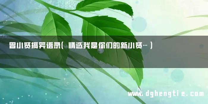 曾小贤搞笑语录（精选我是你们的新小贤…）