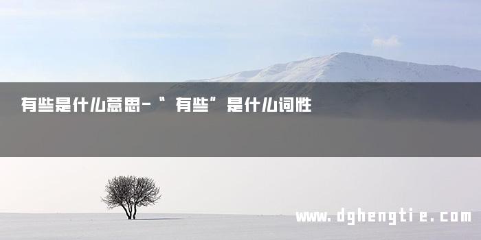 有些是什么意思-“有些”是什么词性