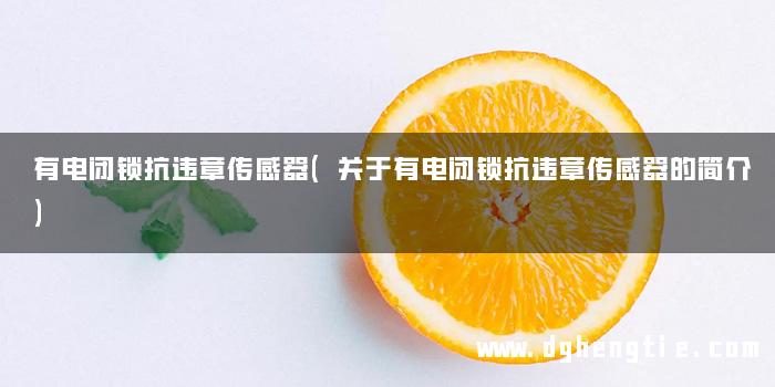 有电闭锁抗违章传感器(关于有电闭锁抗违章传感器的简介)