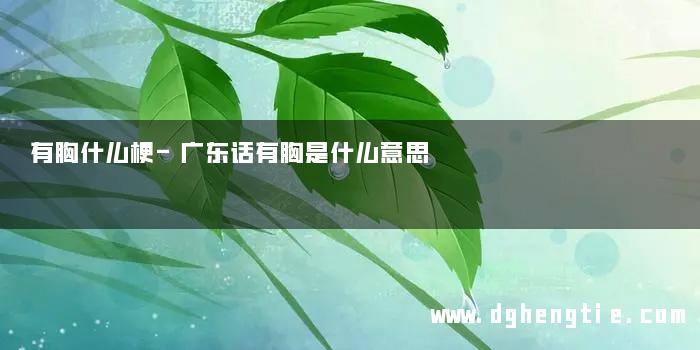 有胸什么梗-广东话有胸是什么意思