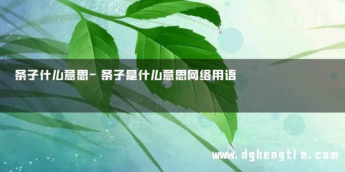 条子什么意思-条子是什么意思网络用语