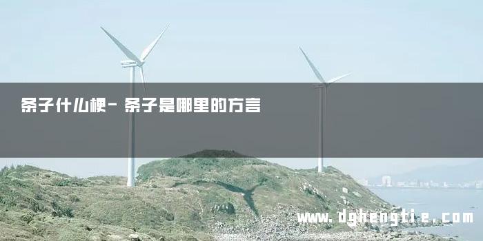 条子什么梗-条子是哪里的方言