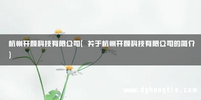 杭州开颜科技有限公司(关于杭州开颜科技有限公司的简介)