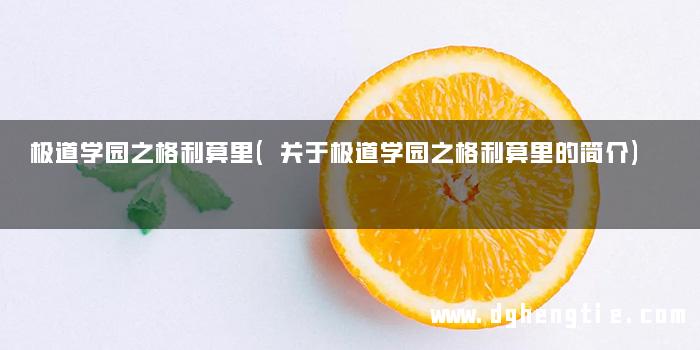 极道学园之格利莫里(关于极道学园之格利莫里的简介)
