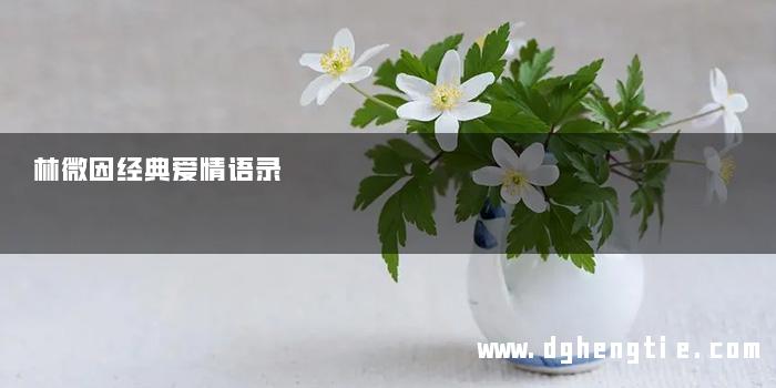 林微因经典爱情语录