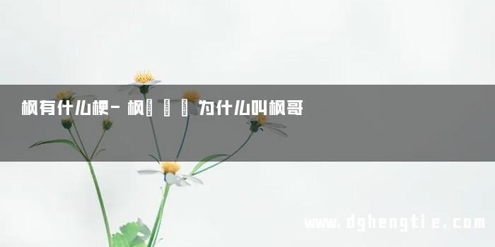 枫有什么梗-枫カレン为什么叫枫哥