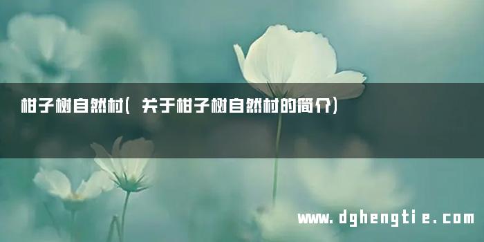 柑子树自然村(关于柑子树自然村的简介)