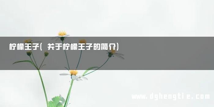 柠檬王子(关于柠檬王子的简介)