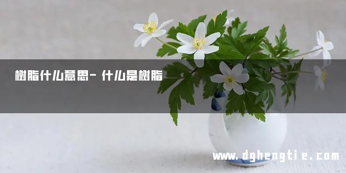 树脂什么意思-什么是树脂