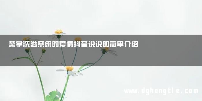 桑拿洗浴系统的爱情抖音说说的简单介绍
