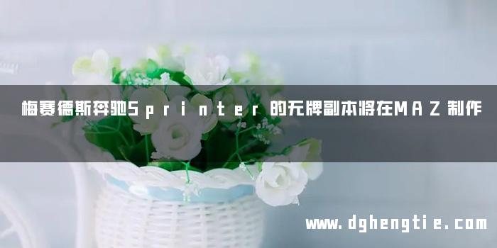梅赛德斯奔驰Sprinter的无牌副本将在MAZ制作