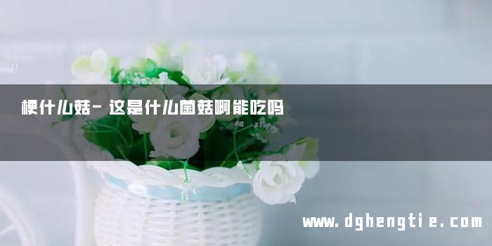 梗什么菇-这是什么菌菇啊能吃吗